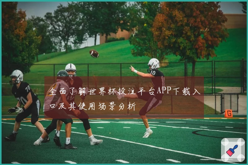 全面了解世界杯投注平台APP下载入口及其使用场景分析