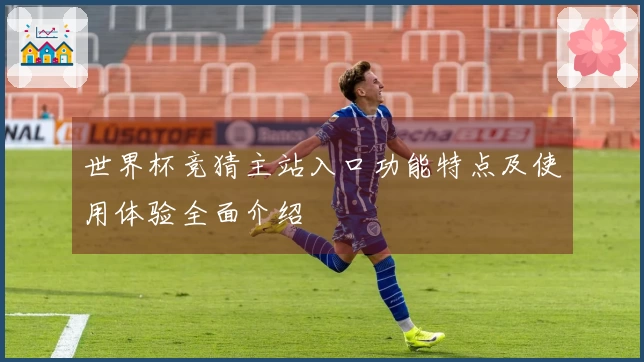 世界杯竞猜主站入口功能特点及使用体验全面介绍