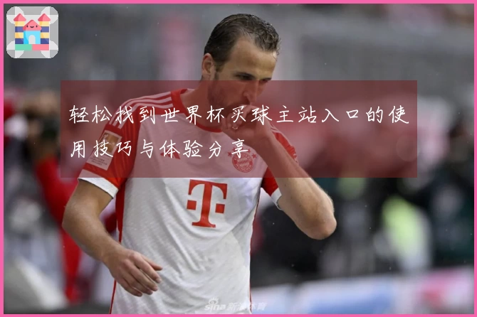 轻松找到世界杯买球主站入口的使用技巧与体验分享