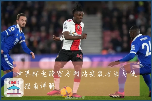 世界杯竞猜官方网站安装方法与使用指南详解