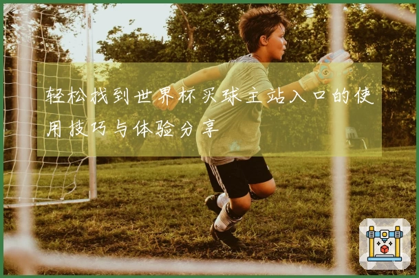 轻松找到世界杯买球主站入口的使用技巧与体验分享